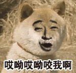 1488347241956309.gif 244d9d0.gif