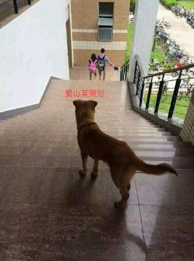 1495160186197994.png 微信图片_20170519100503.png