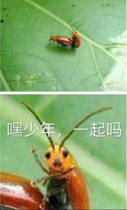 1500536440898831.png 图片1.png